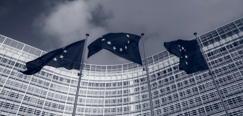 eu_flags
